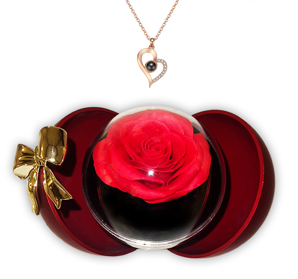 Ugifts™ Projection Necklace Gift Box