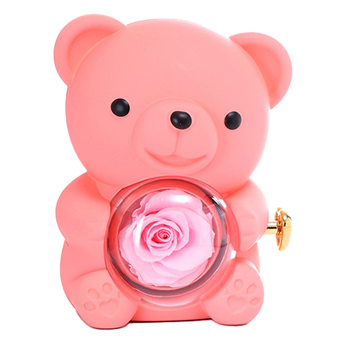 Eternal Rose Bear - W/ Engraved Necklace