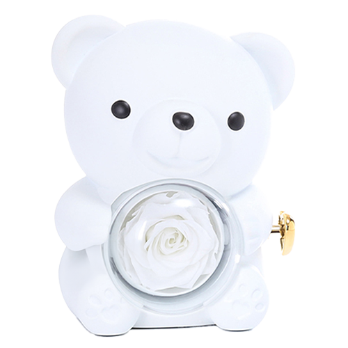 Eternal Rose Bear - W/ Engraved Necklace